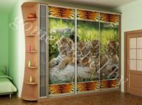 шкаф купе с тигрятами